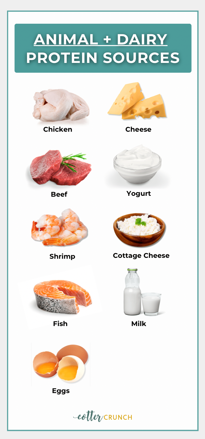 Graphic with photos of animal protein sources.