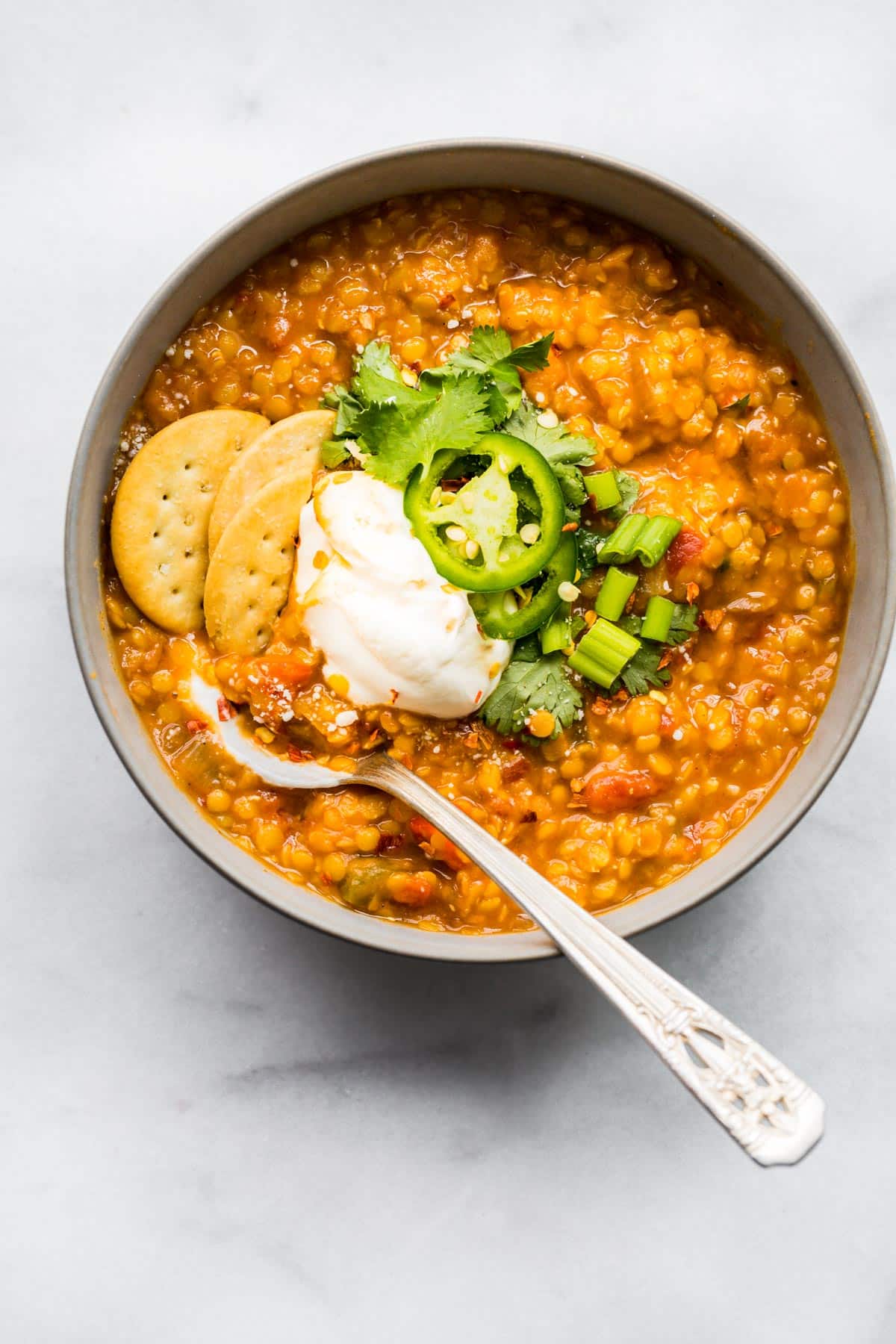 Overhead photo of a bowl of crockpot bbq lentil chili with toppings.