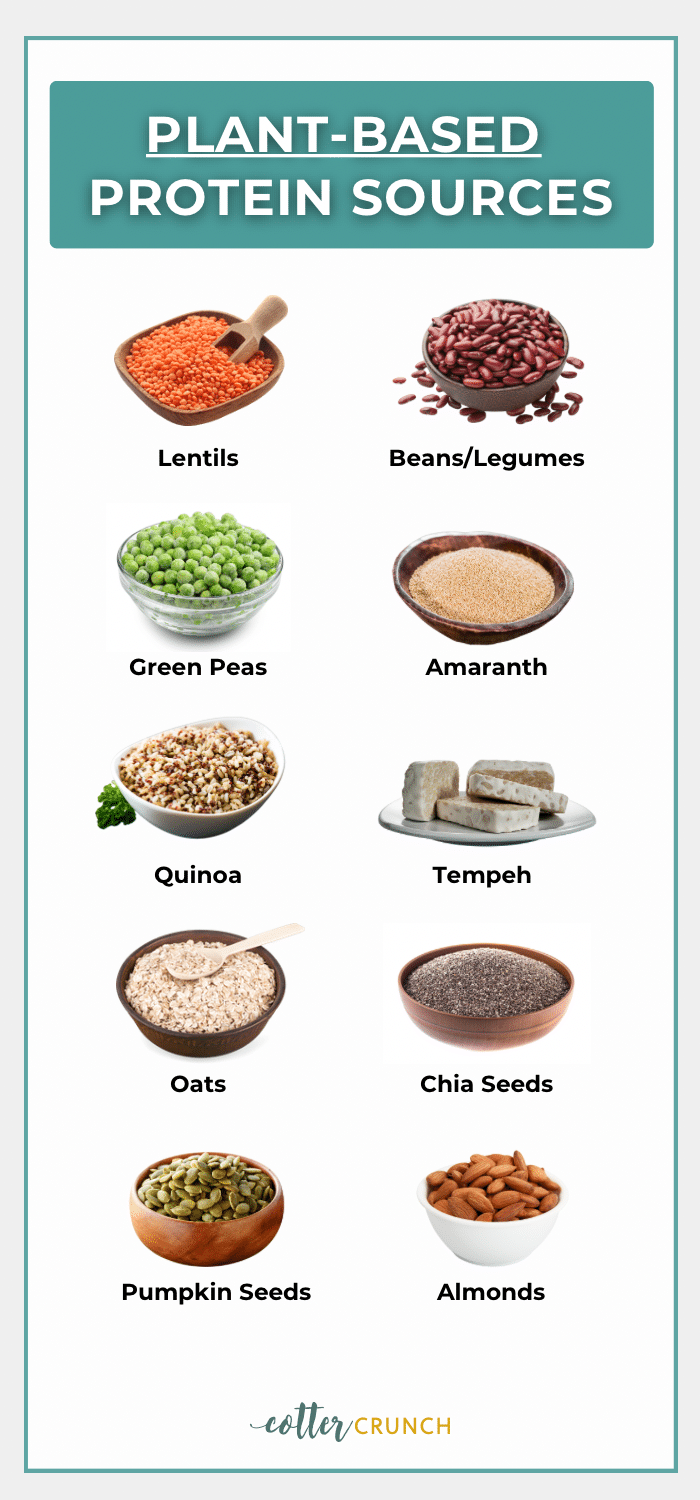 Graphic with photos of plant based protein options.