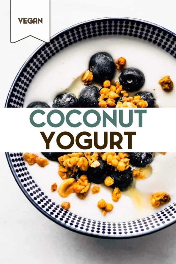 A photo of a bowl of Vegan Coconut Yogurt topped with blueberries and granola with a text overlay for pinterest.