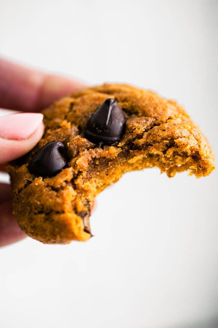 Close-up of a pumpkin chocolate chip cookie with a bite taken out, showing soft and chewy texture inside.