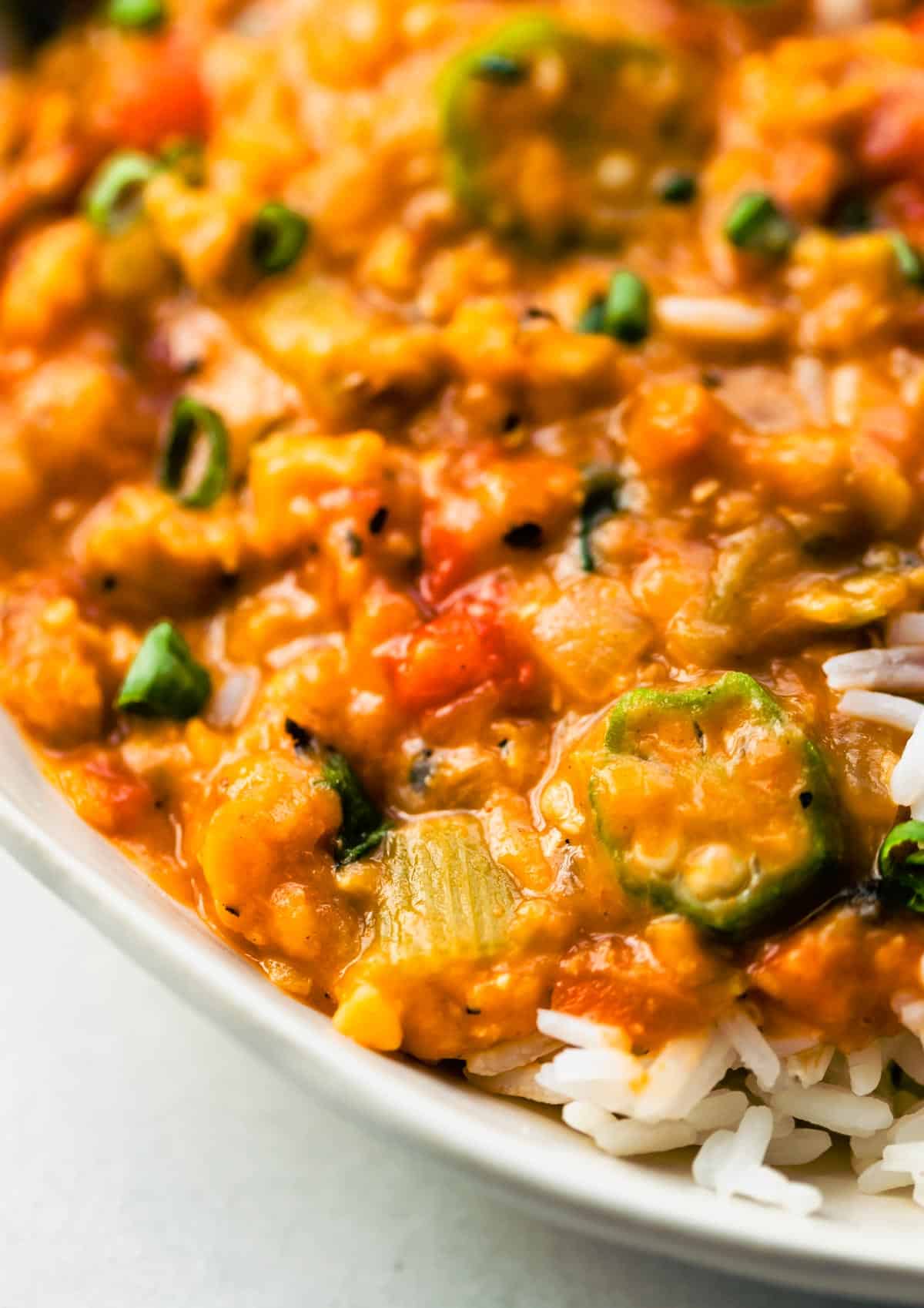Macro shot of finished Instant Pot Gumbo.
