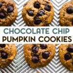 Freshly baked pumpkin chocolate chip cookies arranged in neat rows on a parchment-lined baking sheet with a text overlay for pinterest.