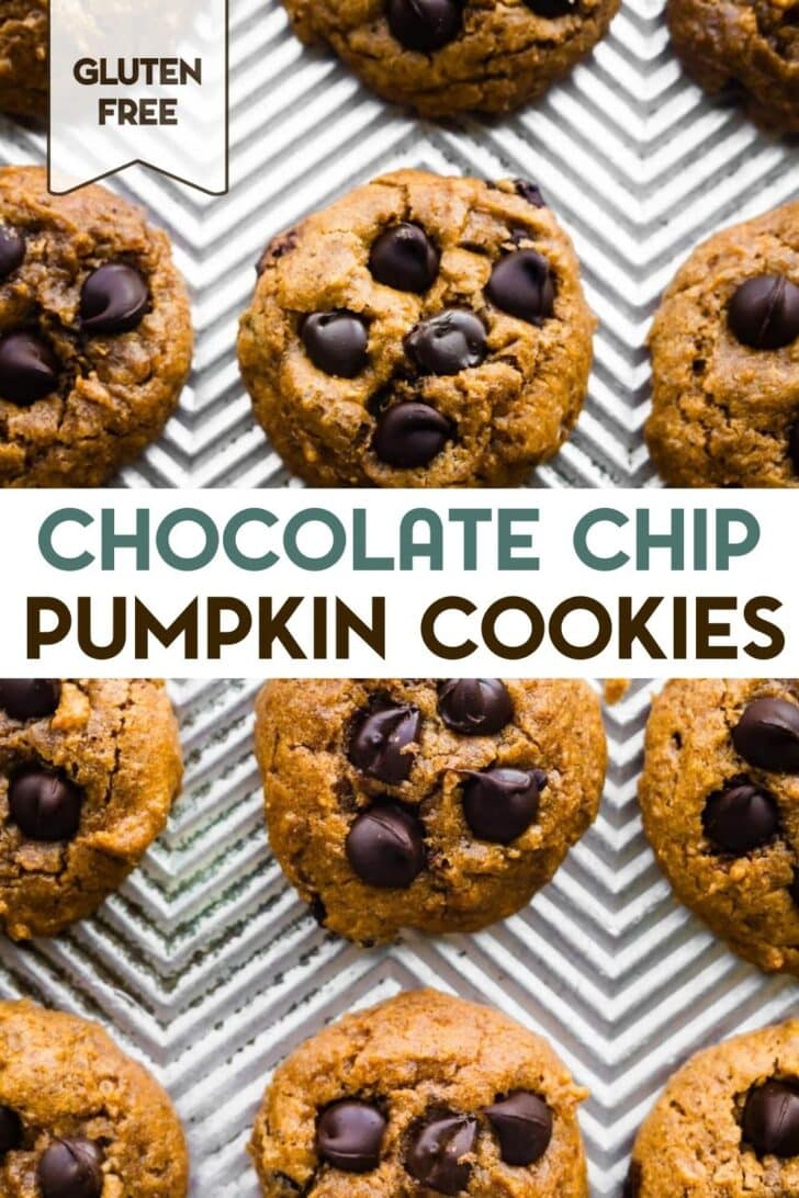Freshly baked pumpkin chocolate chip cookies arranged in neat rows on a parchment-lined baking sheet with a text overlay for pinterest.
