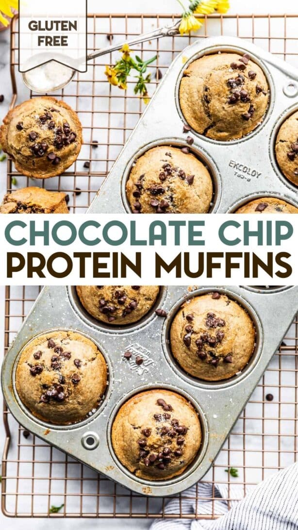 A photo of gluten-free chocolate chip protein muffins in a muffin tin with a text overlay for pinterest.