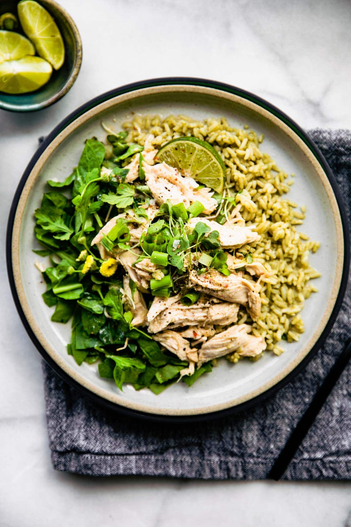 plate of shredded coconut milk chicken breast with cilantro topping